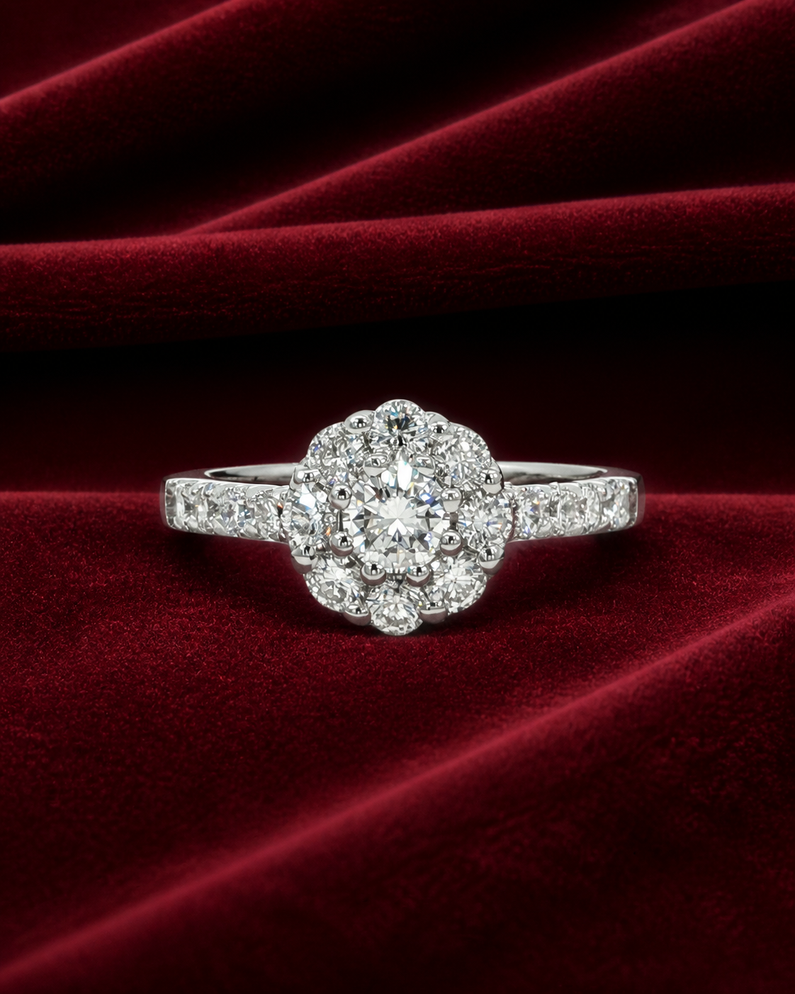 ERT231 scalloped halo solitaire ring on deep burgundy velvet
