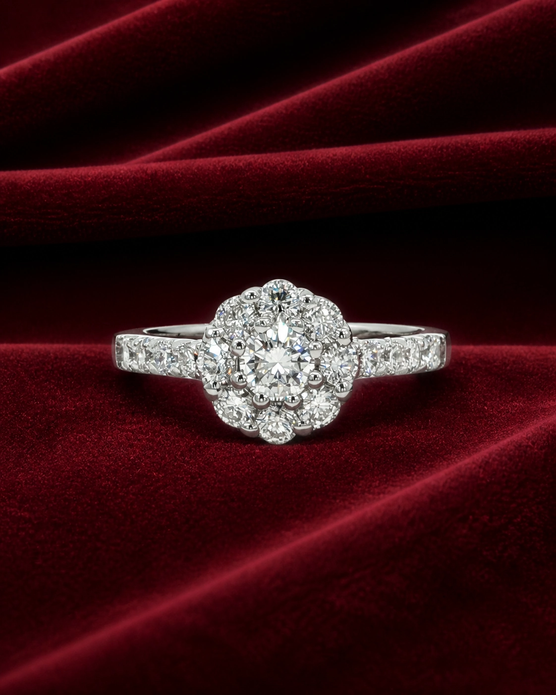 ERT231 scalloped halo solitaire ring on deep burgundy velvet
